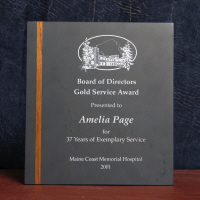 Gold Service Award