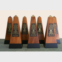 award governors award collection