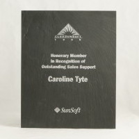 SunSoft Plaque